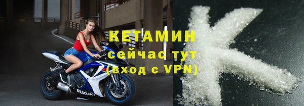 прущие грибы Бородино