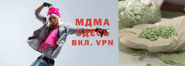 прущие грибы Бородино