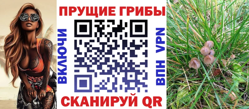 Купить где  Конаково  Псилоцибиновые грибы ЛСД 